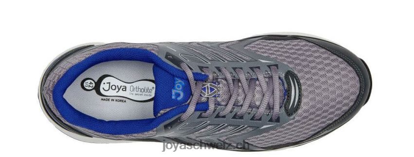 R22R0L107 Männer blitzgrau Joya